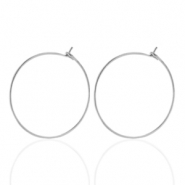 Pendientes Acero Inox 20mm Plateado