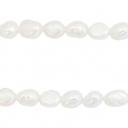 BQ Perlas de agua dulce nugget ovalada 8x5-6mm Blanco natural 