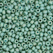 Rocalla Miyuki 11/0 Opaque glazed frosted rainbow celadon green 11-4701