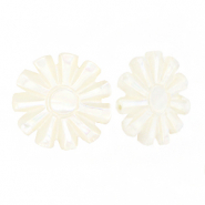 Abalorios conchas sol Blanco (color natural)