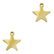Colgantes acero inox estrella Dorado