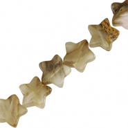 Piedras naturales estrella Beige