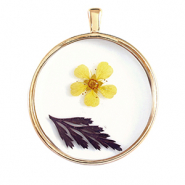 Colgantes con flores secas Dorado-amarillo marr&oacute;n