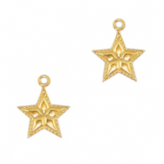 Colgantes Acero Inox estrella Dorado