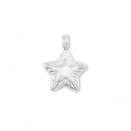 Colgantes Acero Inox estrella Plateado