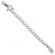 Fornituras Acero inox extención set de cadena óvalo con mosquetón Plateado