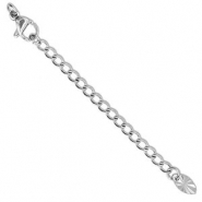 Fornituras Acero inox extención set de cadena óvalo con mosquetón Plateado
