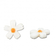Abalorios conchas flor Blanco (color natural)-naranja