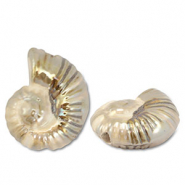 Abalorios de cerámica griega DQ conchas Beige-marrón