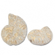 Abalorios de cerámica griega DQ conchas Blanco-marrón chiaro-dorado