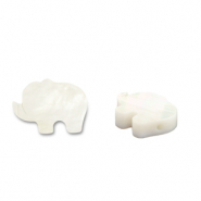 Abalorios conchas elefante Blanco (color natural)