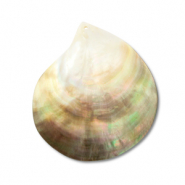 Colgantes concha de madreperla Blanco (color natural)-marrón claro-marrón oscuro