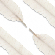 Cord&oacute;n de zapato trendy organza Beige