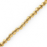 Abalorios Hematita conchas Dorado