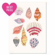 Tarjetas para joyería conchas Multicolor