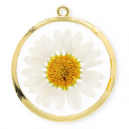 Colgantes con flores secas 34mm Dorado-blanco-naranja delicado