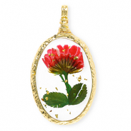 Colgantes con flores secas &oacute;valo Dorado-rojo-verde