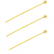 BY31® Fornituras Acero inox bastón con cabeza bola 35mm Dorado
