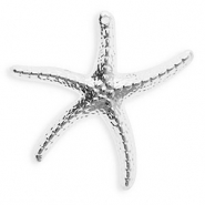 Colgantes acrílicos estrella de mar Platedado