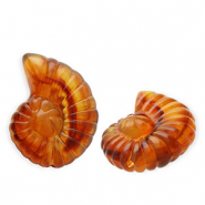 Abalorios acrílicos concha Marrón ámbar