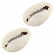 Abalorios conchas marinas Conchas Cauri