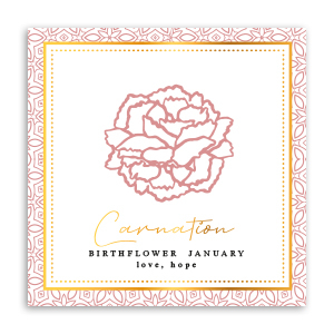 Tarjetas para joyer&iacute;a Flor de nacimiento Enero-Clavel Rojo