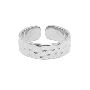 Anillos Acero Inox Plateado