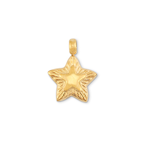 Colgantes Acero Inox estrella Dorado