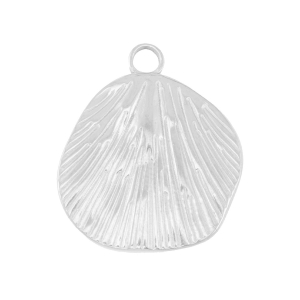 Colgantes Acero Inox concha Plateado