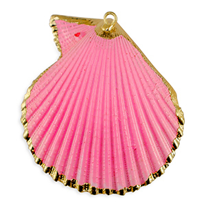 Colgantes concha especial Concha de venera Rosa