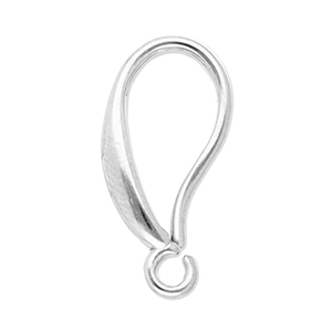 Fornituras Acero Inox pendientes de gancho Plateado