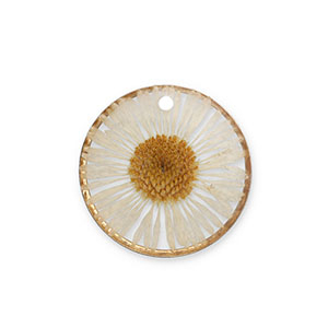 Colgantes con flores secas Dorado-beige